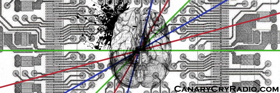 CCR 067: The Artilect War with Dr. Hugo de Garis